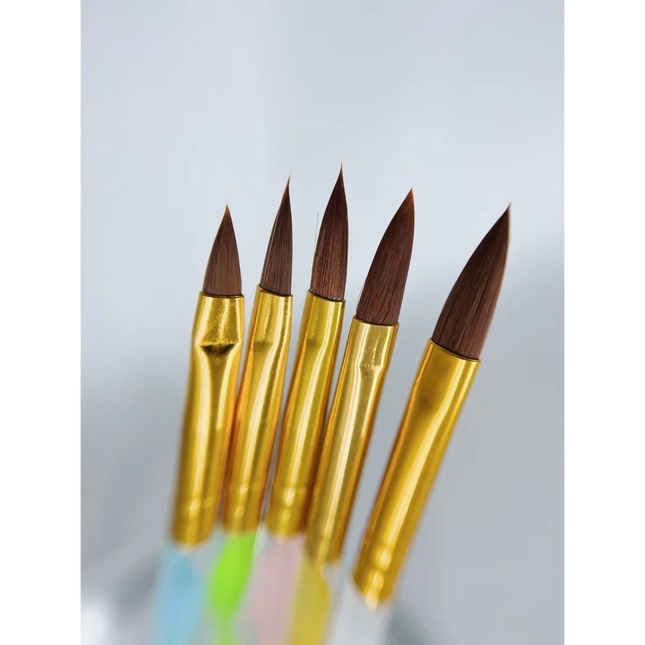 Nail brushes for Acrylic with transparent handle (set 5psc) - Nail Art Brushes