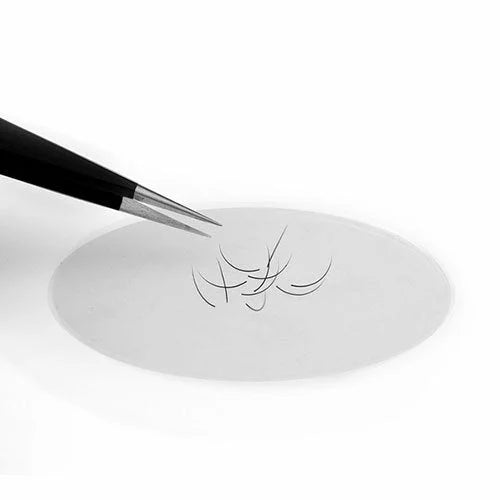 Silicone Tray Kodi Professional - Palettes trays