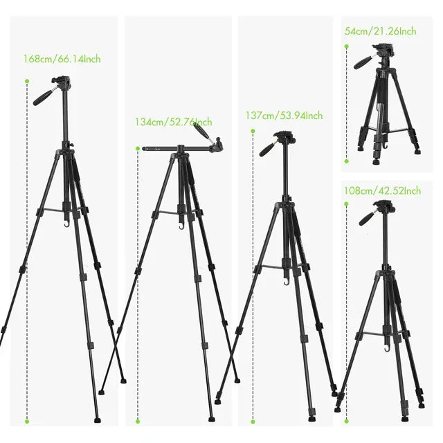 Tripod for camera